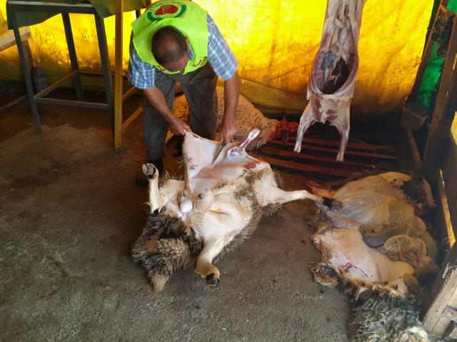 Ankarada 21 Aileye Adak ve Akika Kurbanlarınızı Ulaştırdık -3