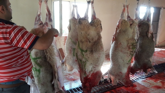 ANKARADA VACİP KURBANLAR KESİLDİ.-2