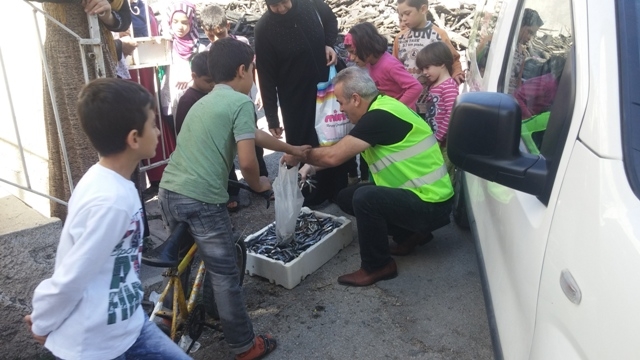 SURİYELİ KARDEŞLERİMİZE 1 TON HAMSİ DAĞITILDI.-1