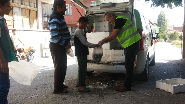 SURİYELİ KARDEŞLERİMİZE 1 TON HAMSİ DAĞITILDI.-5
