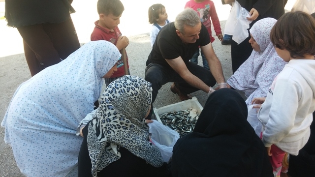 SURİYELİ KARDEŞLERİMİZE 1 TON HAMSİ DAĞITILDI.-9