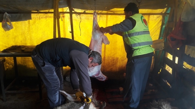 ADAK KURBANLARI KESİLEREK İHTİYAÇ SAHİPLERİNE ULAŞTIRILDI.-3