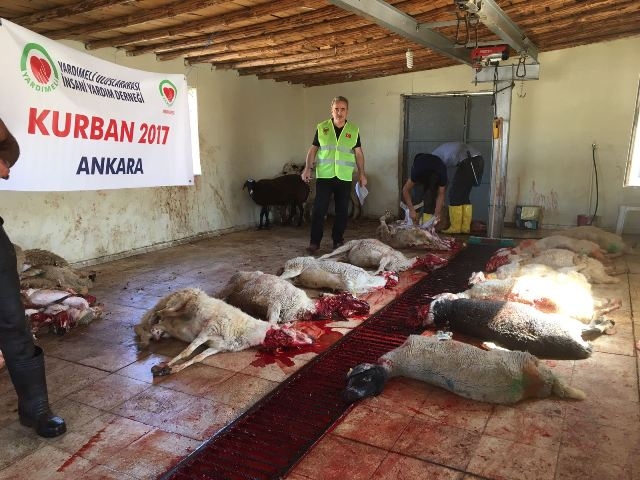 KURBANLARIMIZLA KARDEŞLERİMİZE GİTTİK-1