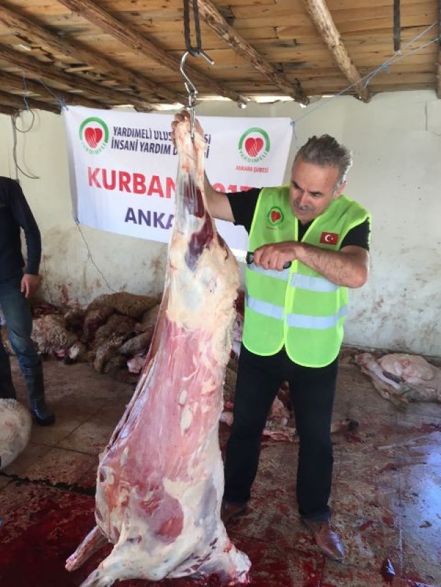 KURBANLARIMIZLA KARDEŞLERİMİZE GİTTİK-3