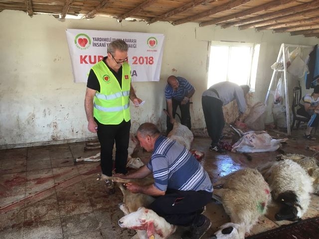 KURBANLAR KESİLEREK İHTİYAÇ SAHİPLERİNE ULAŞTIRILDI.-14