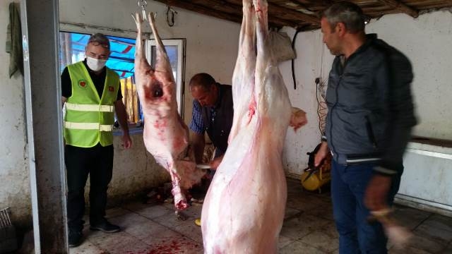 ADAKLAR KESİLEREK İHTİYAÇ SAHİPLERİNE DAĞITILDI-3