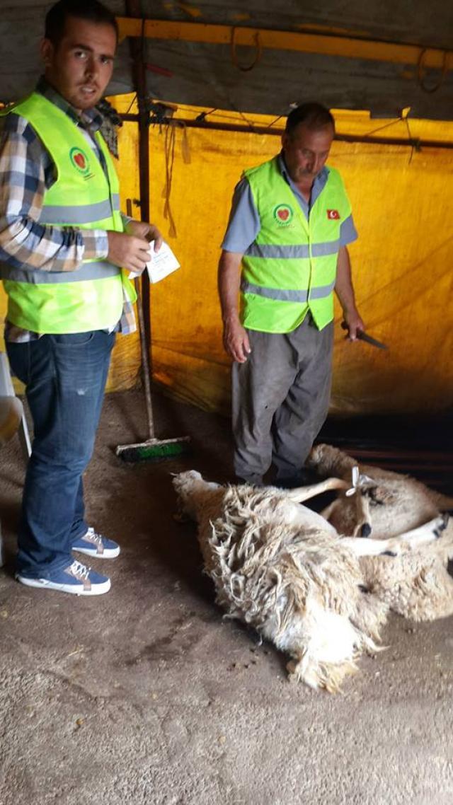 Adak ve Akika Kurbanlarınızı Ankarada Toplamda 60 Aileye Ulaştırdık-1