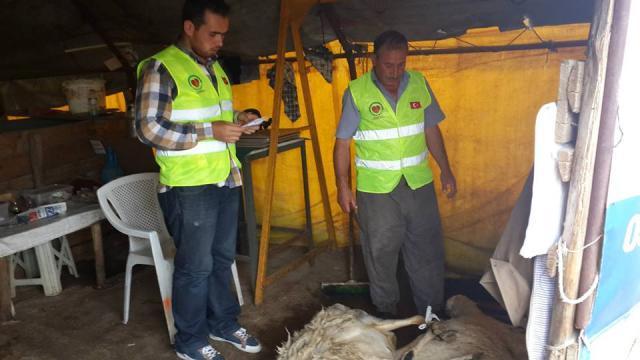 Adak ve Akika Kurbanlarınızı Ankarada Toplamda 60 Aileye Ulaştırdık-2