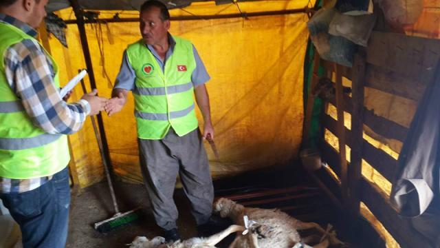 Adak ve Akika Kurbanlarınızı Ankarada Toplamda 60 Aileye Ulaştırdık-3