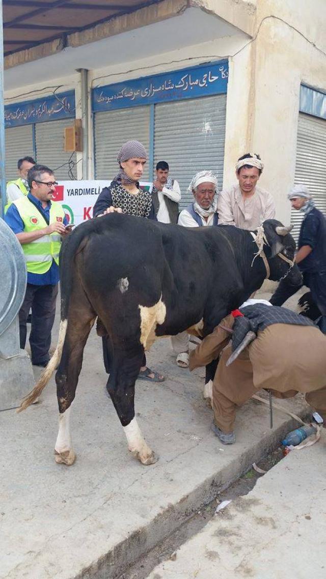 Kurbanlarınızın Kardeşlerimize Ulaşmasında Hayır Köprüsü Olduk-1