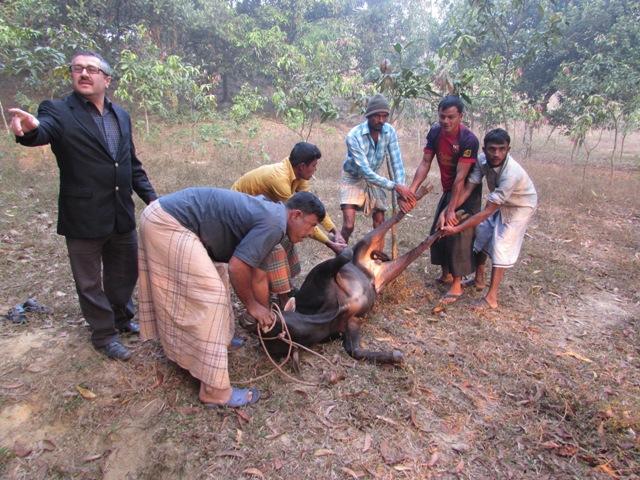 BANGLADEŞ DE DARUL HİKME KÜLLİYEMİZİN TEMELLERİ ATILDI-18