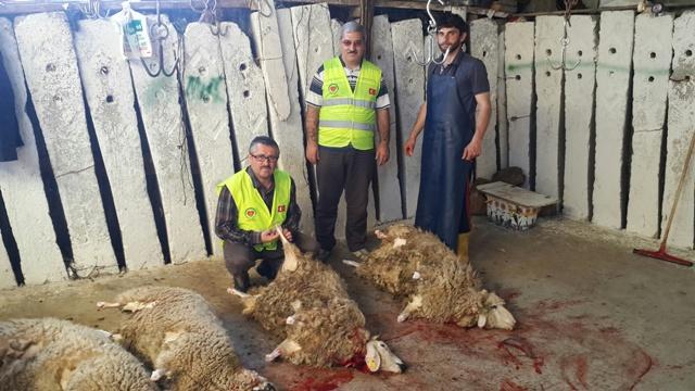 ADAK VE AKİKA KURBANLARINDA HAYIR KÖPRÜSÜ OLDUK.-4