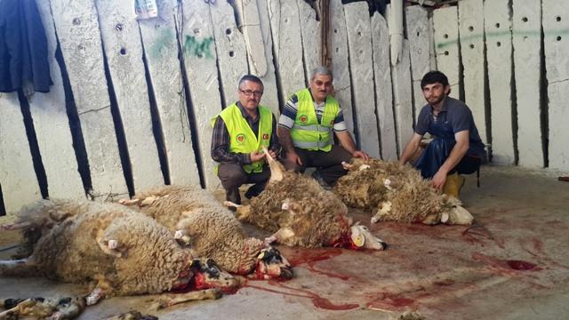 ADAK VE AKİKA KURBANLARINDA HAYIR KÖPRÜSÜ OLDUK.-5
