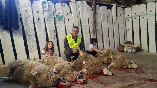 ADAK VE AKİKA KURBANLARINDA HAYIR KÖPRÜSÜ OLDUK.-6