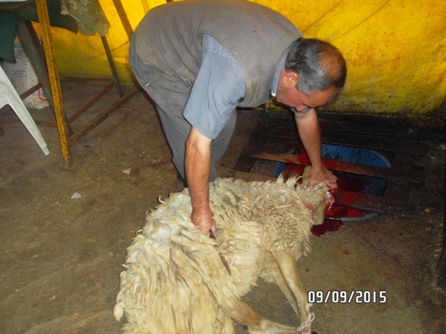 ADAK KURBANLARI KESİMİ DEVAM EDİYOR-2