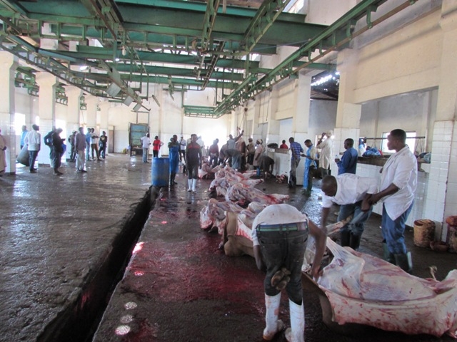 TANZANYA DA KURBAN KESİMİ..-6