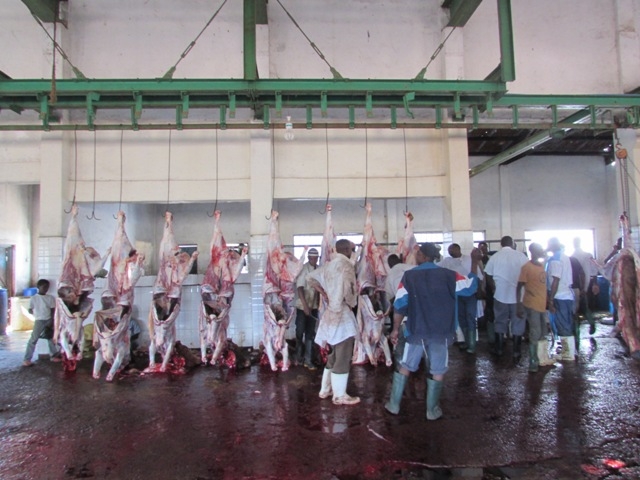 TANZANYA DA KURBAN KESİMİ..-7