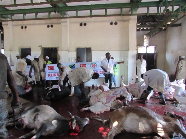 TANZANYA DA KURBAN KESİMİ..-9