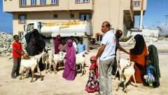 SOMALİ DE SÜT KEÇİSİ PROJEMİZ DEVAM EDİYOR.