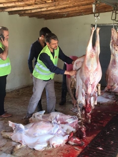 KURBANLARIMIZLA KARDEŞLERİMİZE GİTTİK